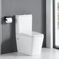 Stano Toilette WC à poser BRAGADO en ceramique