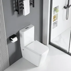 Stano Toilette WC à poser BRAGADO en ceramique