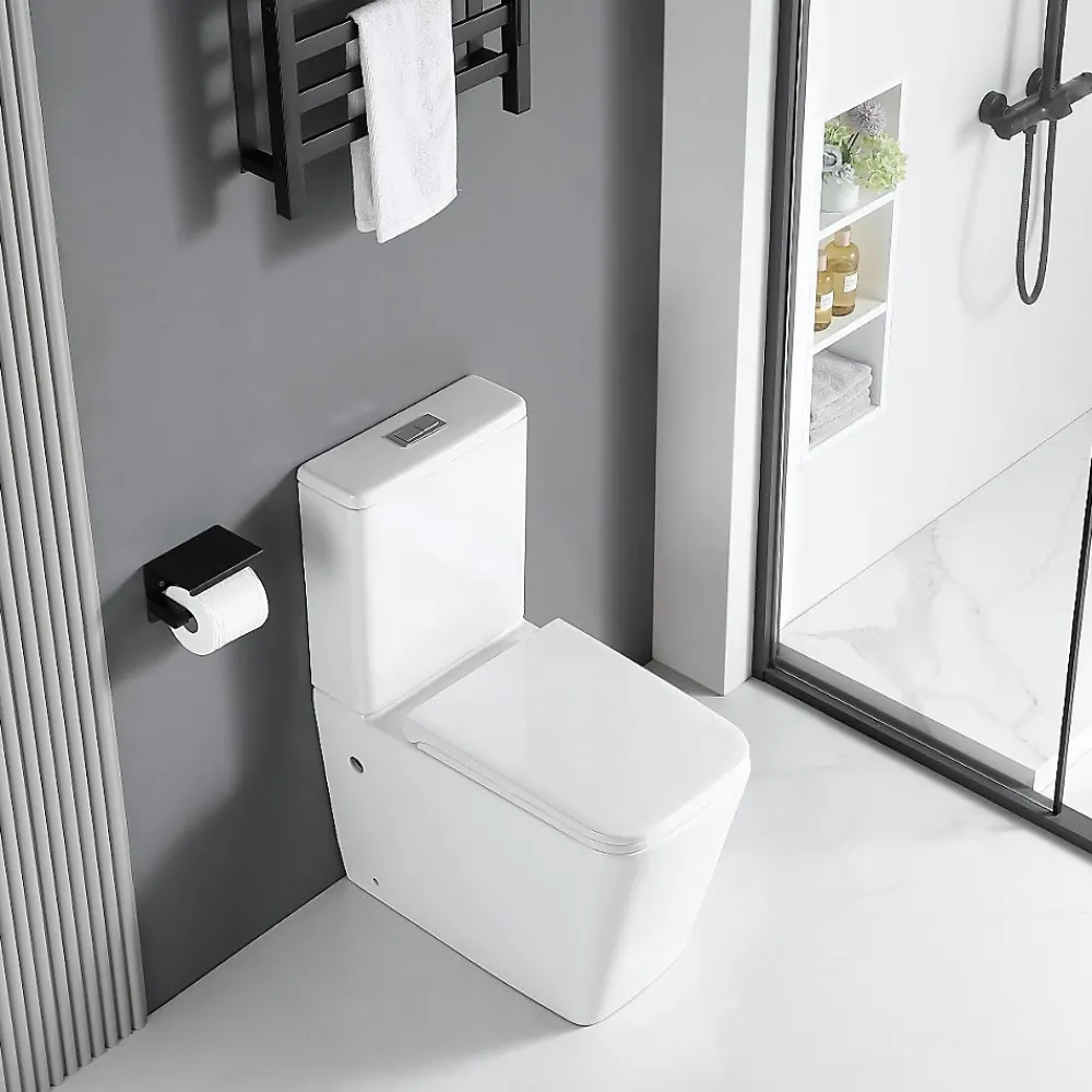 Stano Toilette WC à poser BRAGADO en ceramique