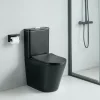 Stano Toilette WC à poser CIPOLI en ceramique noir mat