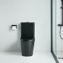 Stano Toilette WC à poser CIPOLI en ceramique noir mat