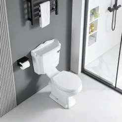 Wc À Poser|Rogier & Mothes Toilette WC à poser retro CHERY en ceramique