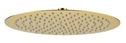 Edouard Rousseau Tête de douche ronde Ø30 cm, doré brossé,