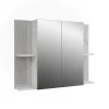 Vicco Armoire de toilette blanc/blanc brillant 100x75cm avec 2 portes