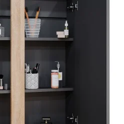 Vicco Armoire de toilette Anthracite 70.4x84cm avec 2 portes