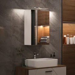 Vicco Armoire de toilette Blanc 40x60cm avec éclairage LED