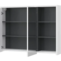 Vicco Armoire de toilette blanc/anthracite 18x75cm