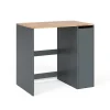 Vicco Armoire machine à laver Anthracite/chêne doré 93.6x88.2cm Meuble sous la machine à laver