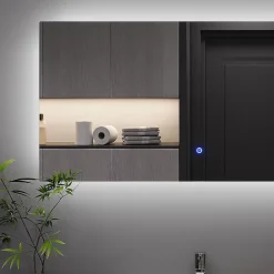 Vicco Miroir mural Verre 50x100cm avec rétro-éclairage