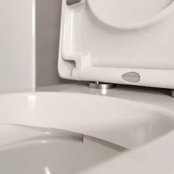 Bernstein WC à poser Blanc brillant 36x54x42cm (LxPxH) sans rebord, abattant fermeture progressive + soft-close - VIREO
