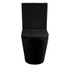 Ceramia WC à poser sans bride en céramique avec abattant SoftClose + réservoir de chasse, alimentation latérale, noir (CEPX030RREXVPBKM)