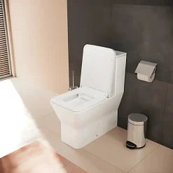 Hansgrohe WC à poser sans bride sortie universelle Elupura Original Q avec abattant