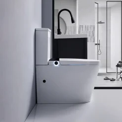 Rentside WC JAPONAIS EN CERAMIQUE - T5 WALL HUNG SUR PIEDS