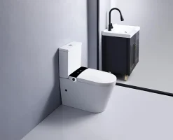 Rentside WC JAPONAIS EN CERAMIQUE - T5 WALL HUNG SUR PIEDS