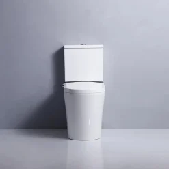 Rentside WC JAPONAIS EN CERAMIQUE - T5 WALL HUNG SUR PIEDS