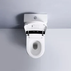 Rentside WC JAPONAIS EN CERAMIQUE - T5 WALL HUNG SUR PIEDS