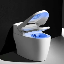 Wc Japonais|Toptoilet WC Japonais Monobloc Luxe Platinium 2 Plus