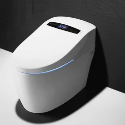 Wc Japonais|Toptoilet WC Japonais Monobloc Luxe Platinium 2 Plus