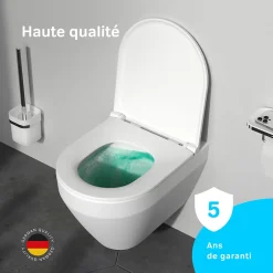 Am.Pm Europe WC suspendu céramique sans bride cuvette WC suspendu sans bord FlashClean abattant amov. frein chute softclose blanc AM.PM