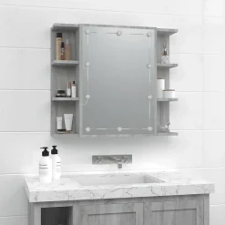 zmh Armoire à miroir avec LED Sonoma gris 70x16,5x60 cm