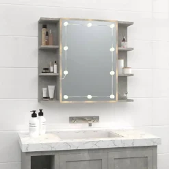 zmh Armoire à miroir avec LED Gris béton 70x16,5x60 cm