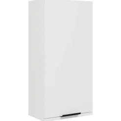 zmh Armoire de salle de bain murale Blanc 32x20x67 cm