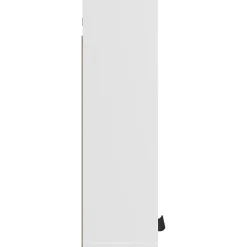 zmh Armoire de salle de bain murale Blanc 32x20x67 cm